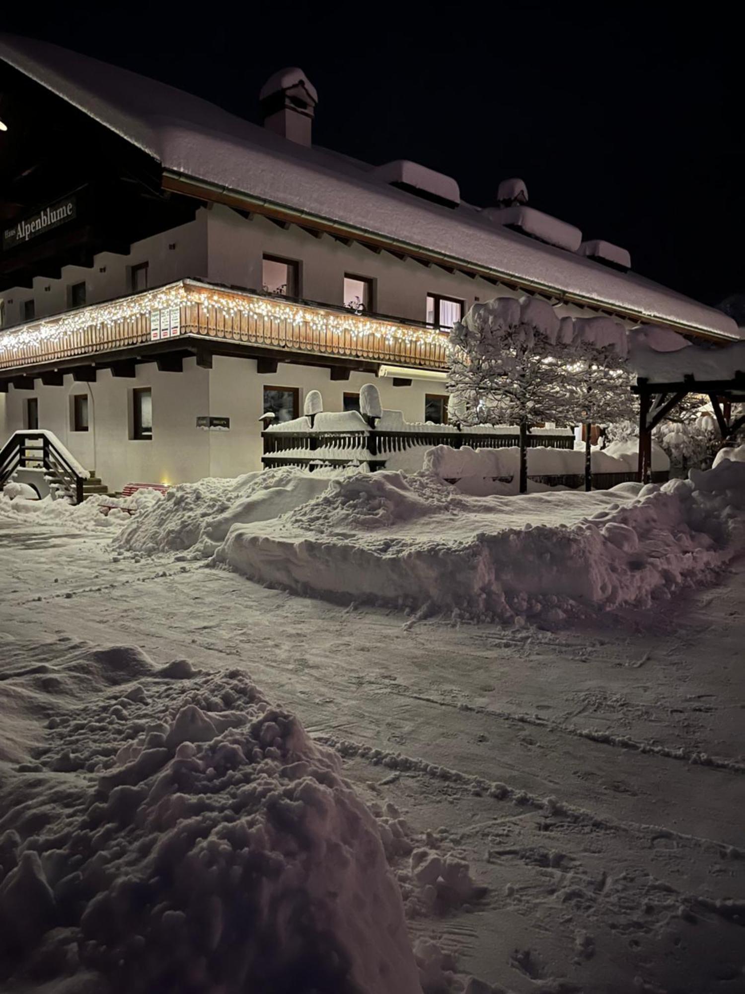 Haus Alpenblume Apartment Ервалд Екстериор снимка