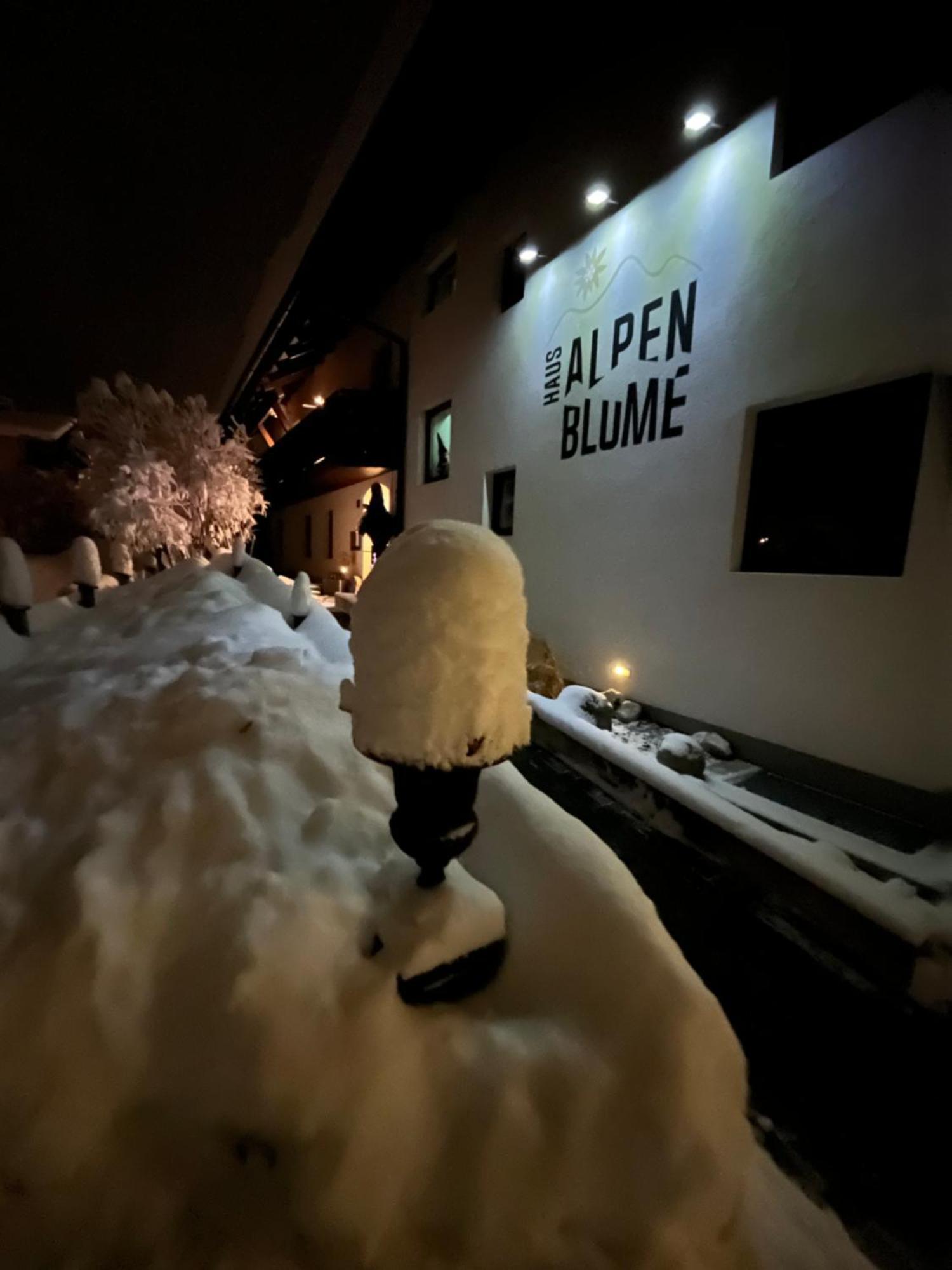 Haus Alpenblume Apartment Ервалд Екстериор снимка